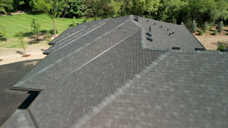 Best Asphalt Shingles Roofing  in Dimondale, MI
