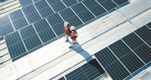 Best Slate Roofing  in Dimondale, MI