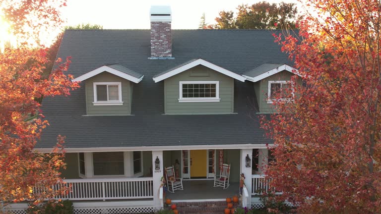 Best 4 Ply Roofing  in Dimondale, MI