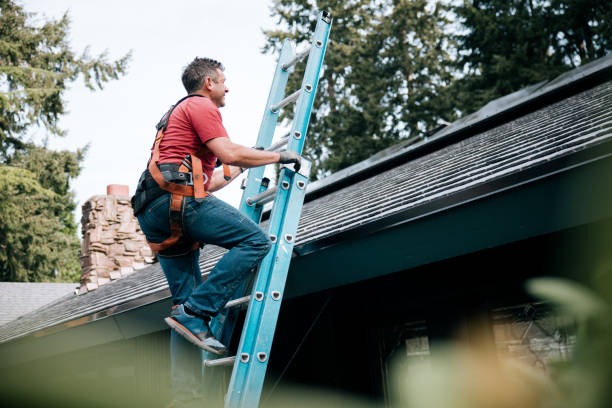 Best Flat Roofing  in Dimondale, MI