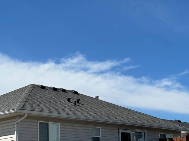 Best Roof Coating and Sealing  in Dimondale, MI